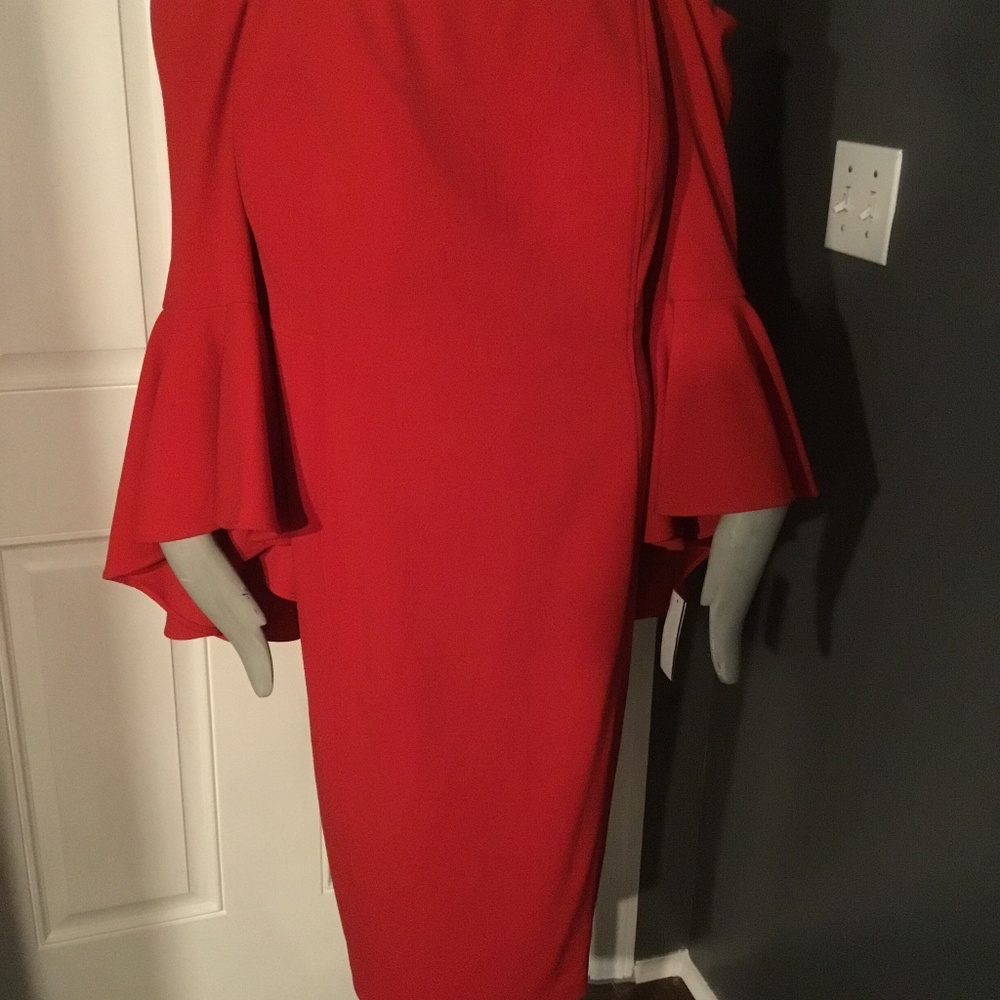 Plus Size Dress - Picture 4 of 8